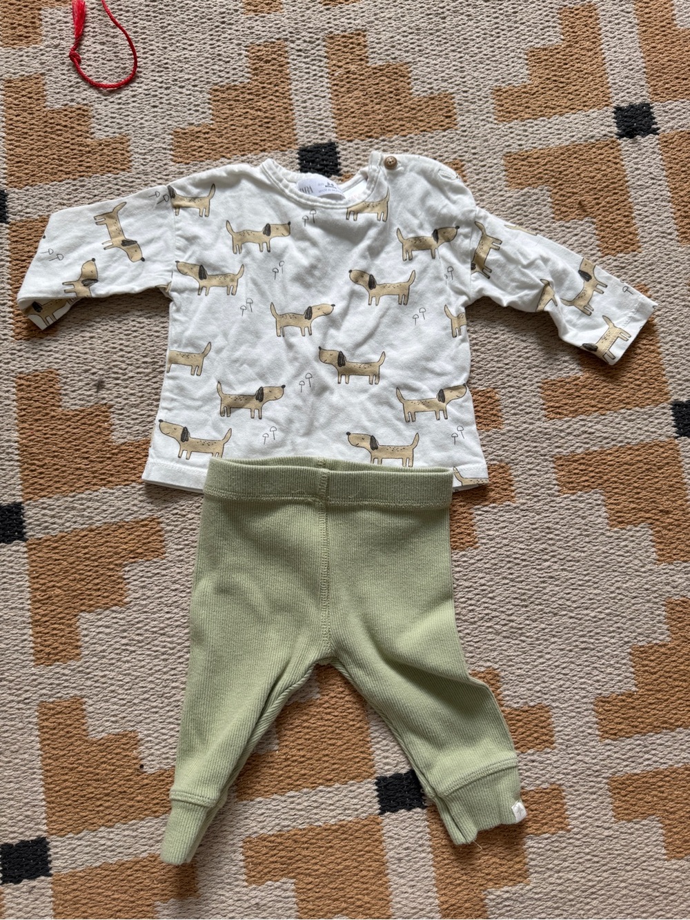 Zara Cream Baby Top with Brown Dog Print and ribbed green pants